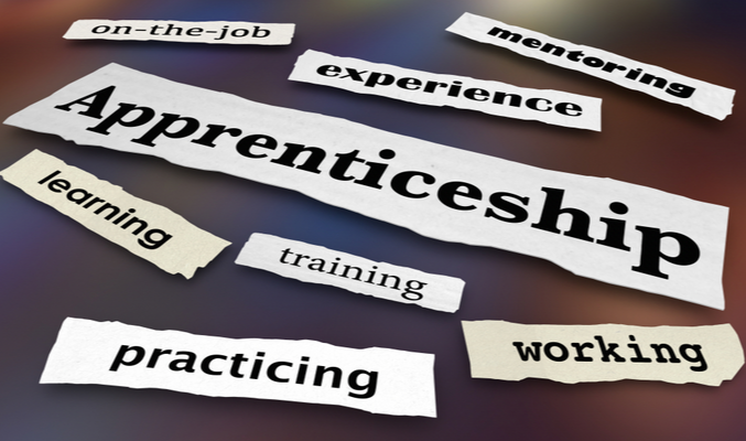 apprenticeship programme